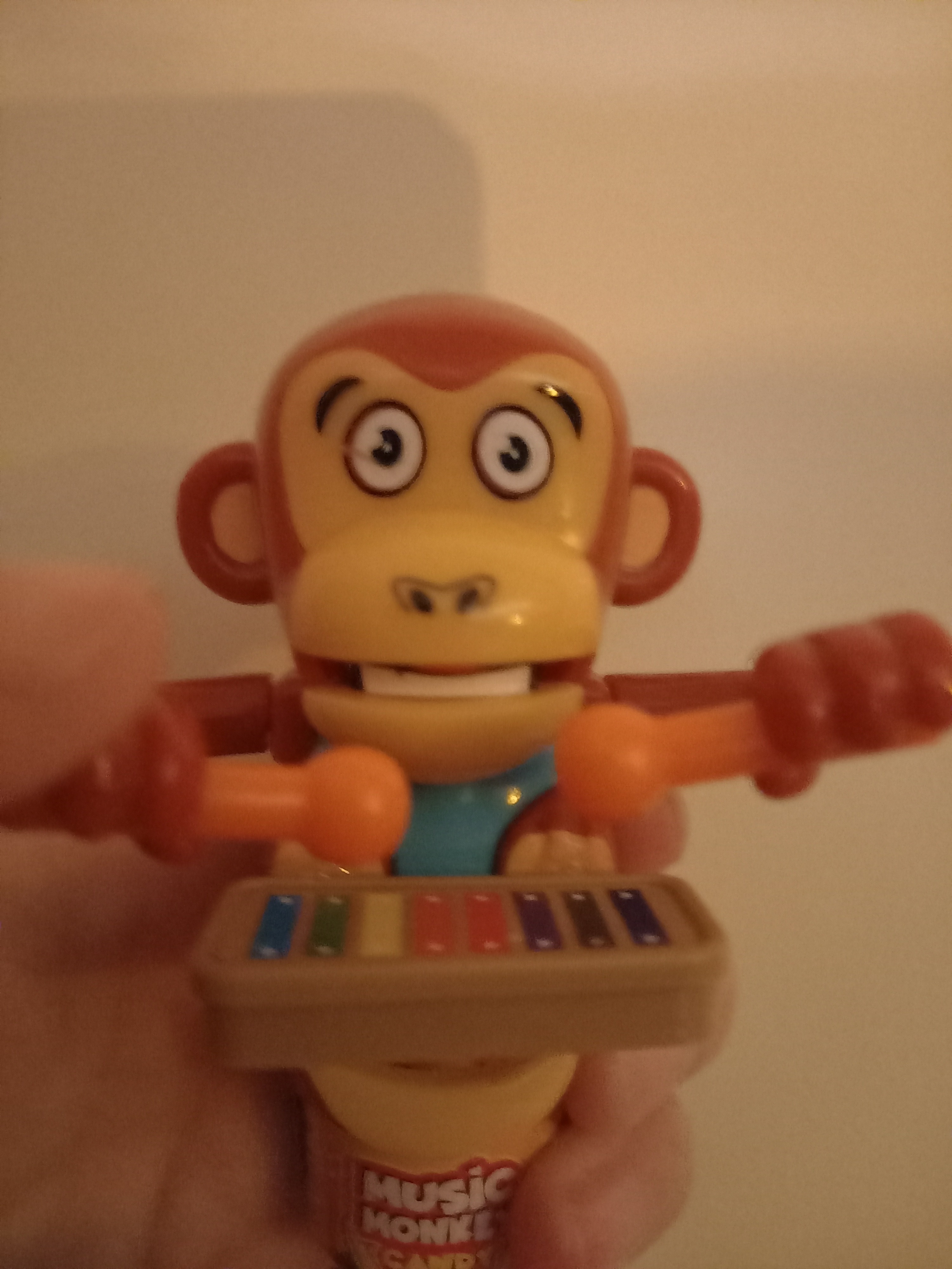 crazy monkey.jpg